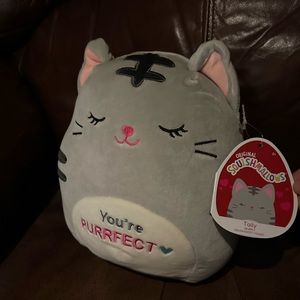 Squishmallow Valentine Tally